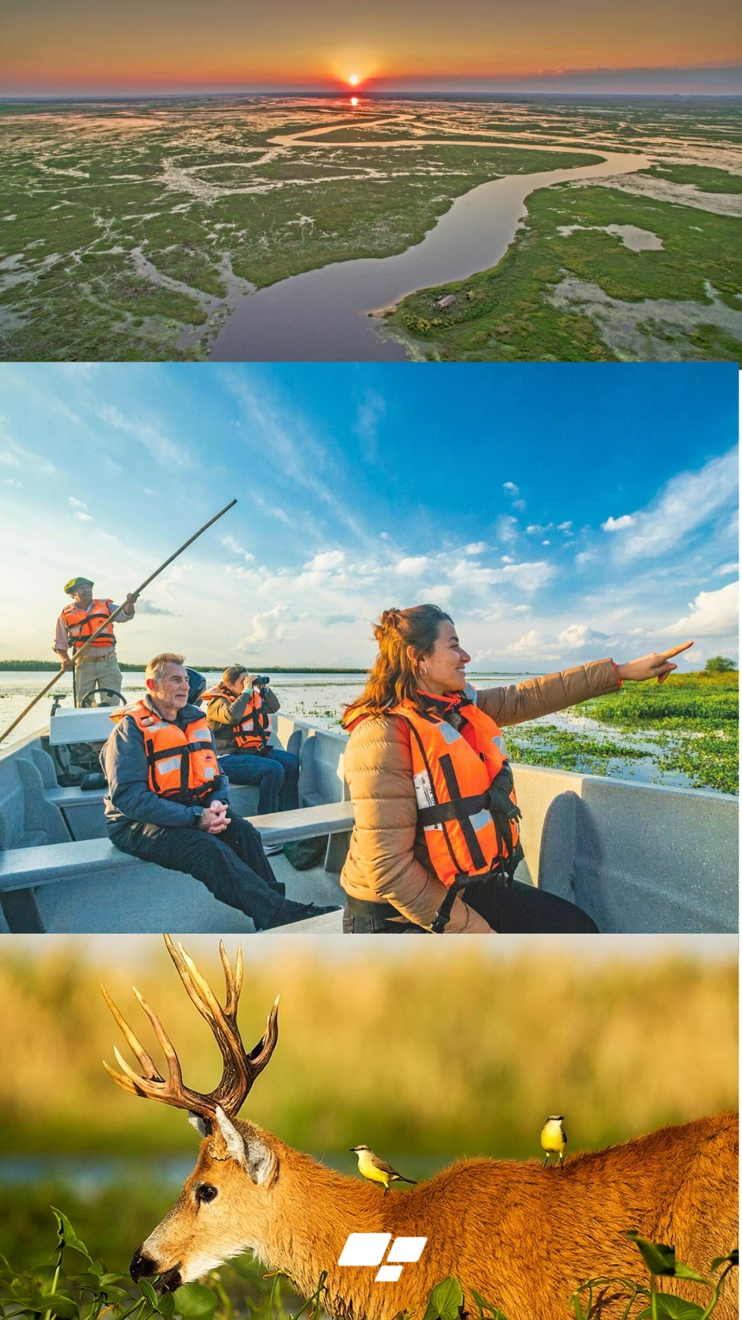 Esteros del Iberá